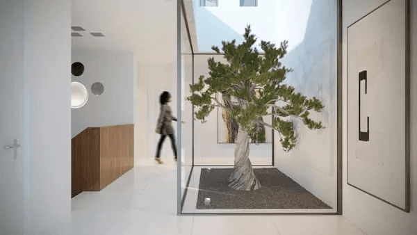 Luxe penthouses